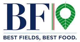 Logo BF S.p.A.
